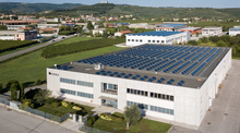 5702 Arsea plant